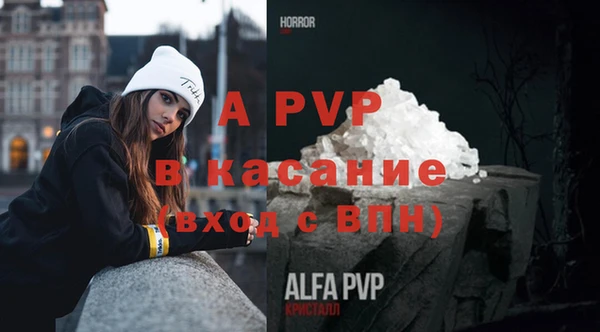 спиды Верея
