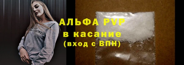 спиды Верея