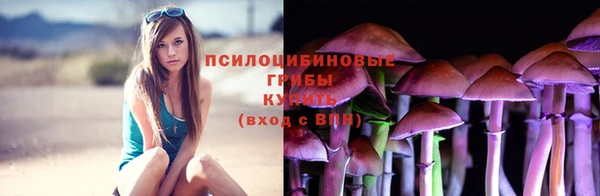 шишки Верхнеуральск