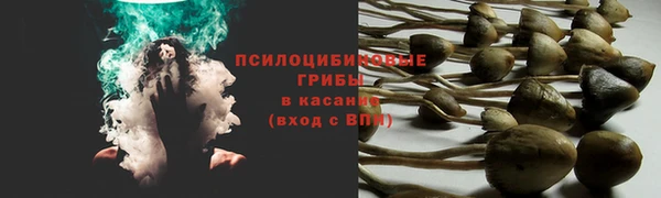 спиды Верея