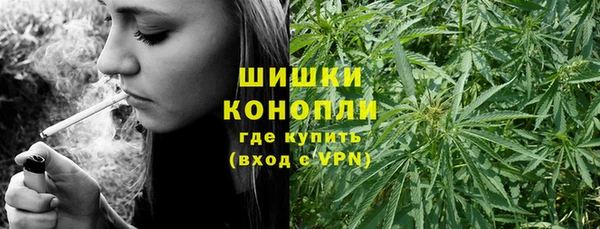 спиды Верея