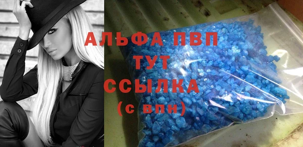 спиды Верея