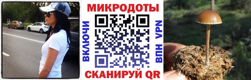 купить наркоту  Кизилюрт  blacksprut маркетплейс  Псилоцибиновые грибы мицелий 